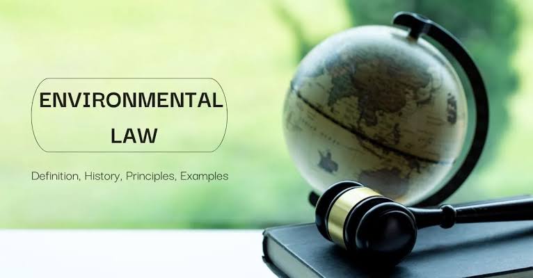 Best and Top Environmental, Health and Safety Lawyer in Chandigarh, Punjab and Haryana High Court