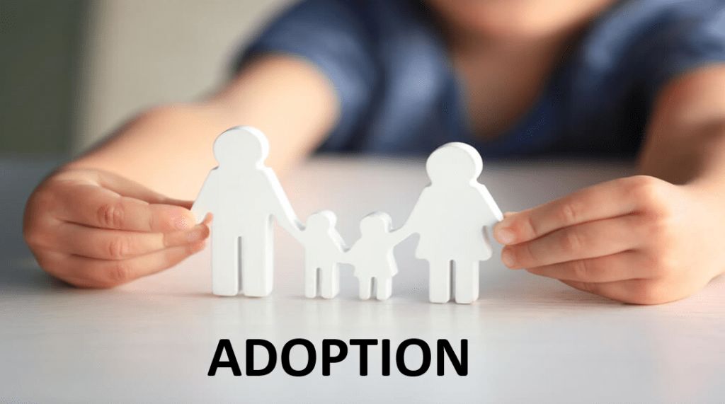 Best and Top Child Adoption Lawyer in Chandigarh, Punjab and Haryana High Court