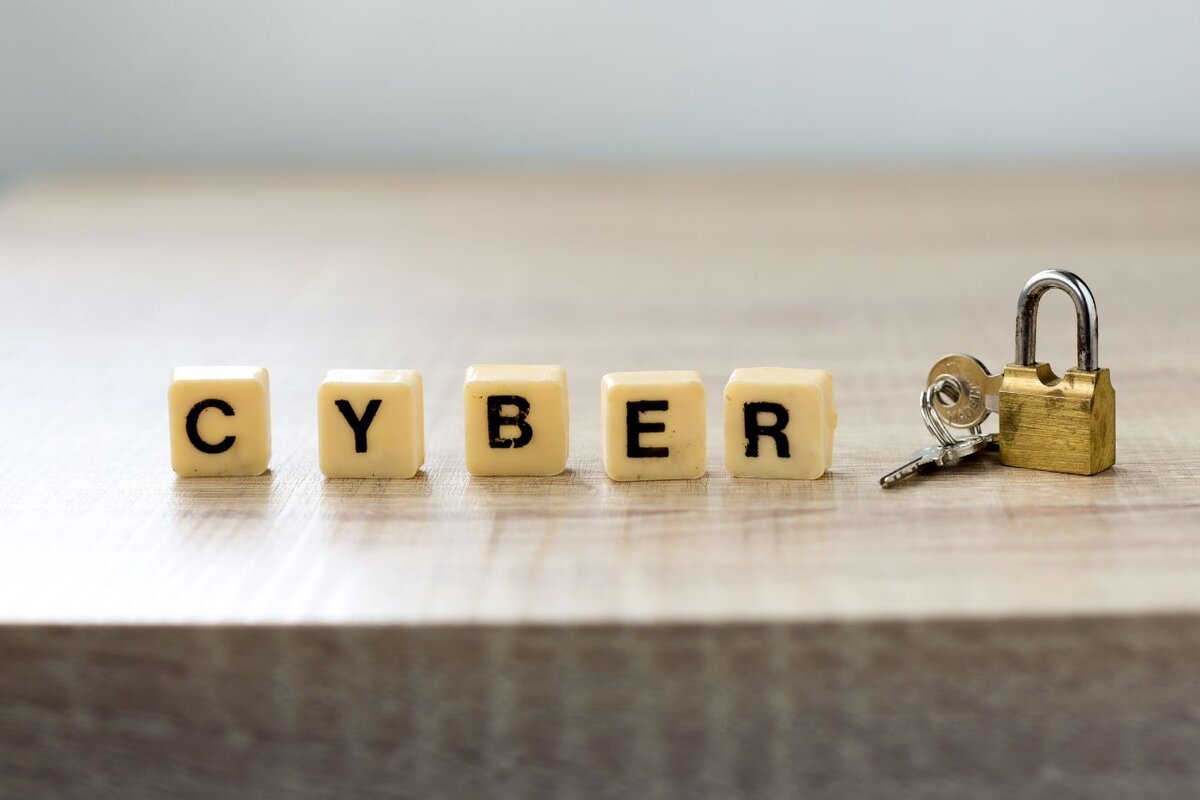 Cyber Law